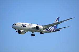 ANA/NH B787-8 JA801A