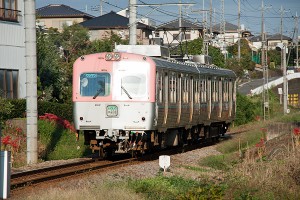 彼岸花が咲く線路を走る