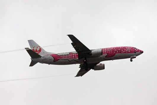 NU/JTA/日本トランスオーシャン航空 B737-400 JA8992 Pink Whale shark”ピンク　ジンベイ”