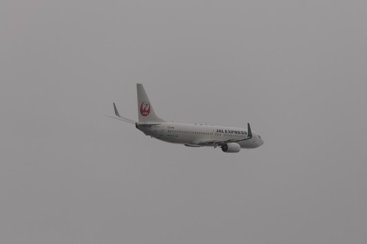 JL/JAL/日本航空  B737-800 JA343J