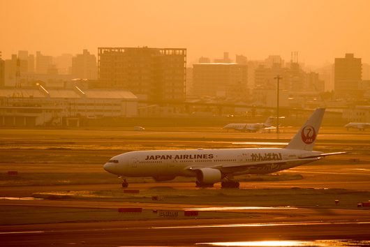 JL/JAL/日本航空  B777-200 JA8979