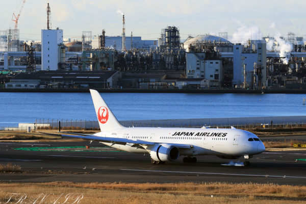 JL/JAL/日本航空 JL30 B787-8 JA834J