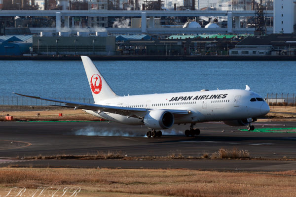 JL/JAL/日本航空 JL104 B787-8 JA846J