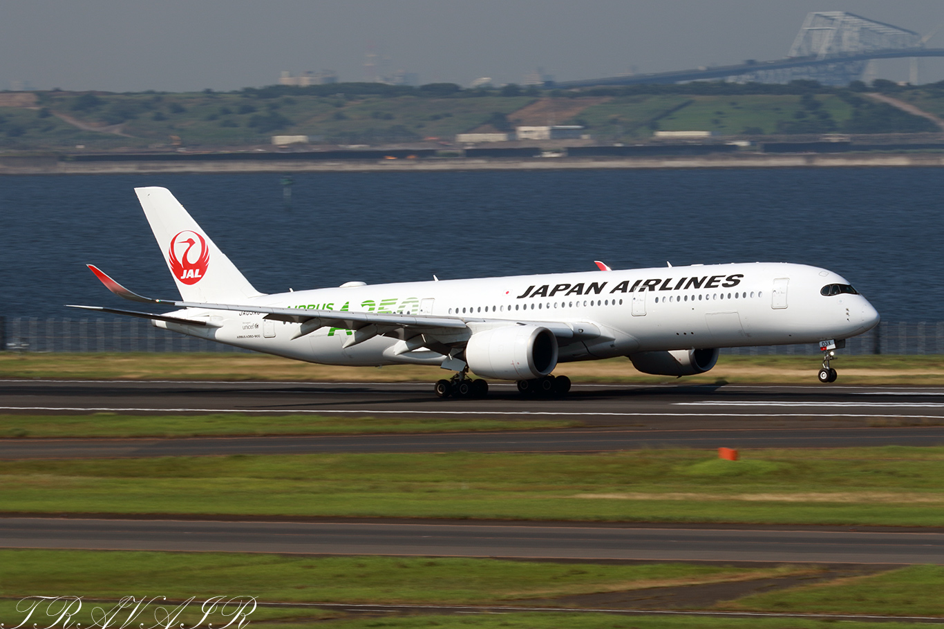 JL/JAL/日本航空 JL908 A350-900 JA03XJ