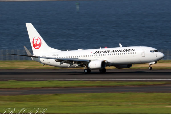 JL/JAL/日本航空 JL436 B737-800 JA333J