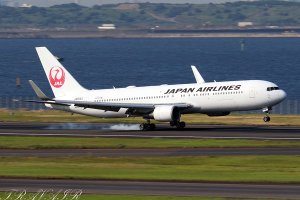 JL/JAL/日本航空 JL8942 B767-300ER JA619J