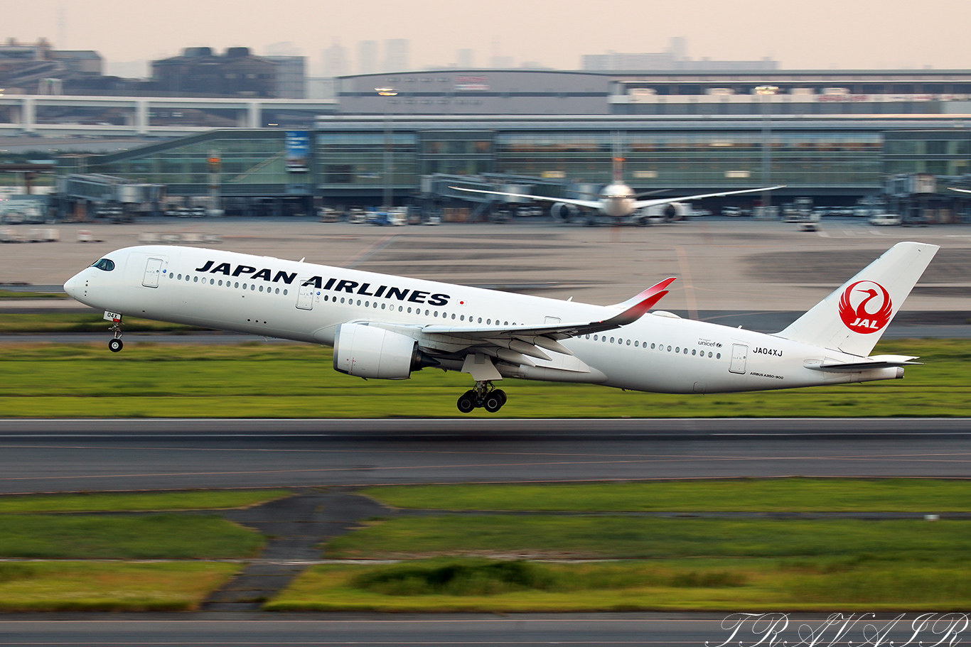 JL/JAL/日本航空 JL525 A350-900 JA04XJ