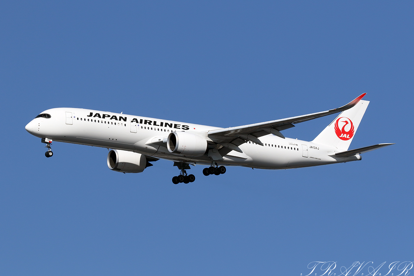JL/JAL/日本航空 JL110 A350-900 JA13XJ
