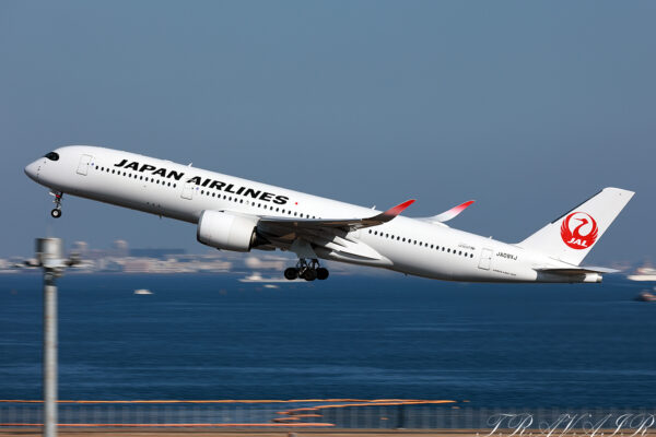 JL/JAL/日本航空 JL515 A350-900 JA09XJ