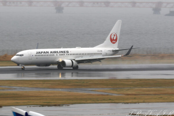 JL/JAL/日本航空 JL144 B737-800 JA306J