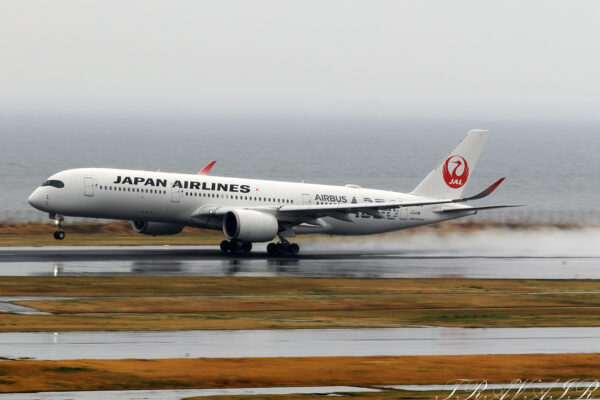 JL/JAL/日本航空 JL515 A350-900 JA02XJ