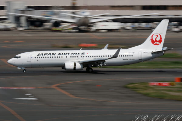 JL/JAL/日本航空 JL236 B737-800 JA330J