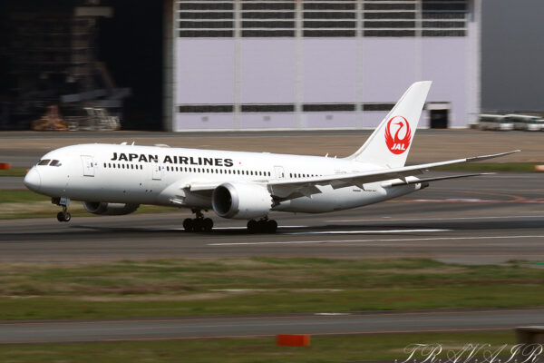 JL/JAL/日本航空 JL116 B787-8 JA846J