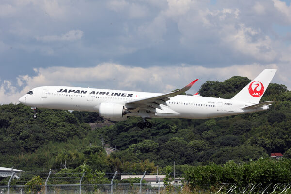 JL/JAL/日本航空 JL319 A350-900 JA13XJ